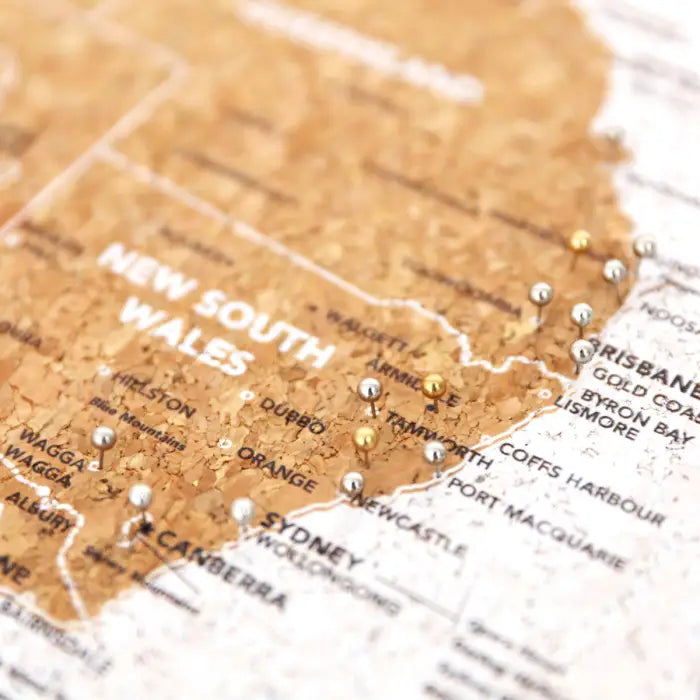Travel Board Map