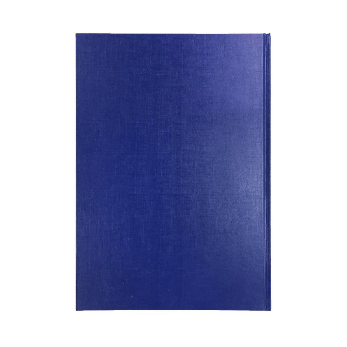 Collins Kingsgrove Diary 2027 A4 Day to a Page - 2 Colours