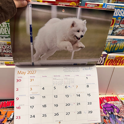 Dogs of Australia 2027 Wall Calendar