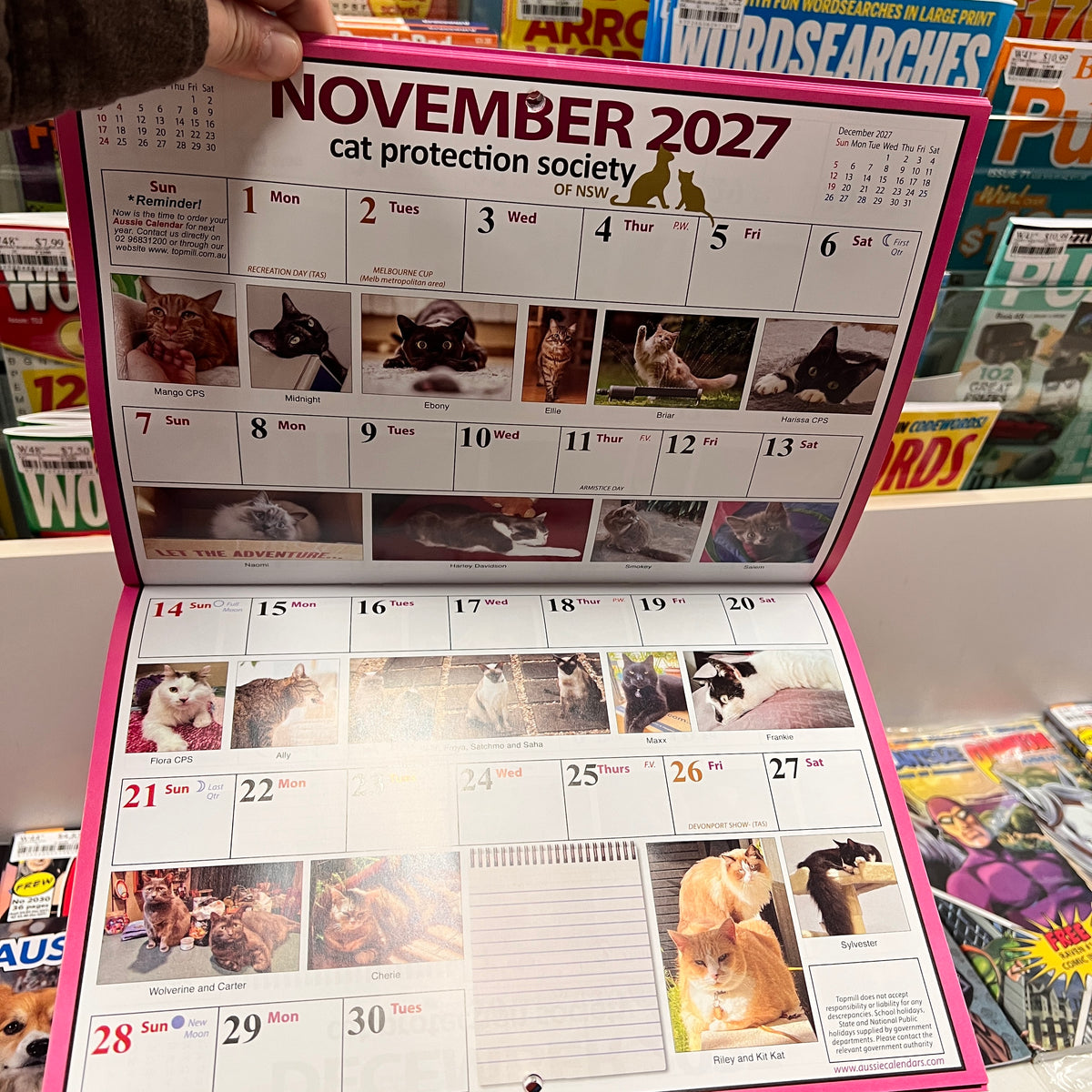 Australian Cats 2027 Wall Calendar