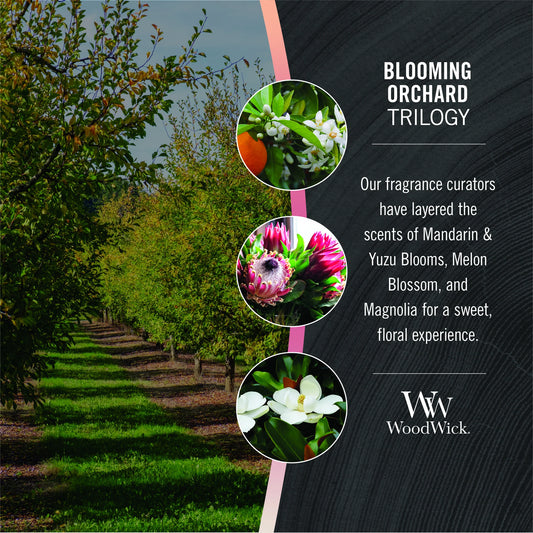 WoodWick - Trilogy Blooming Orchard
