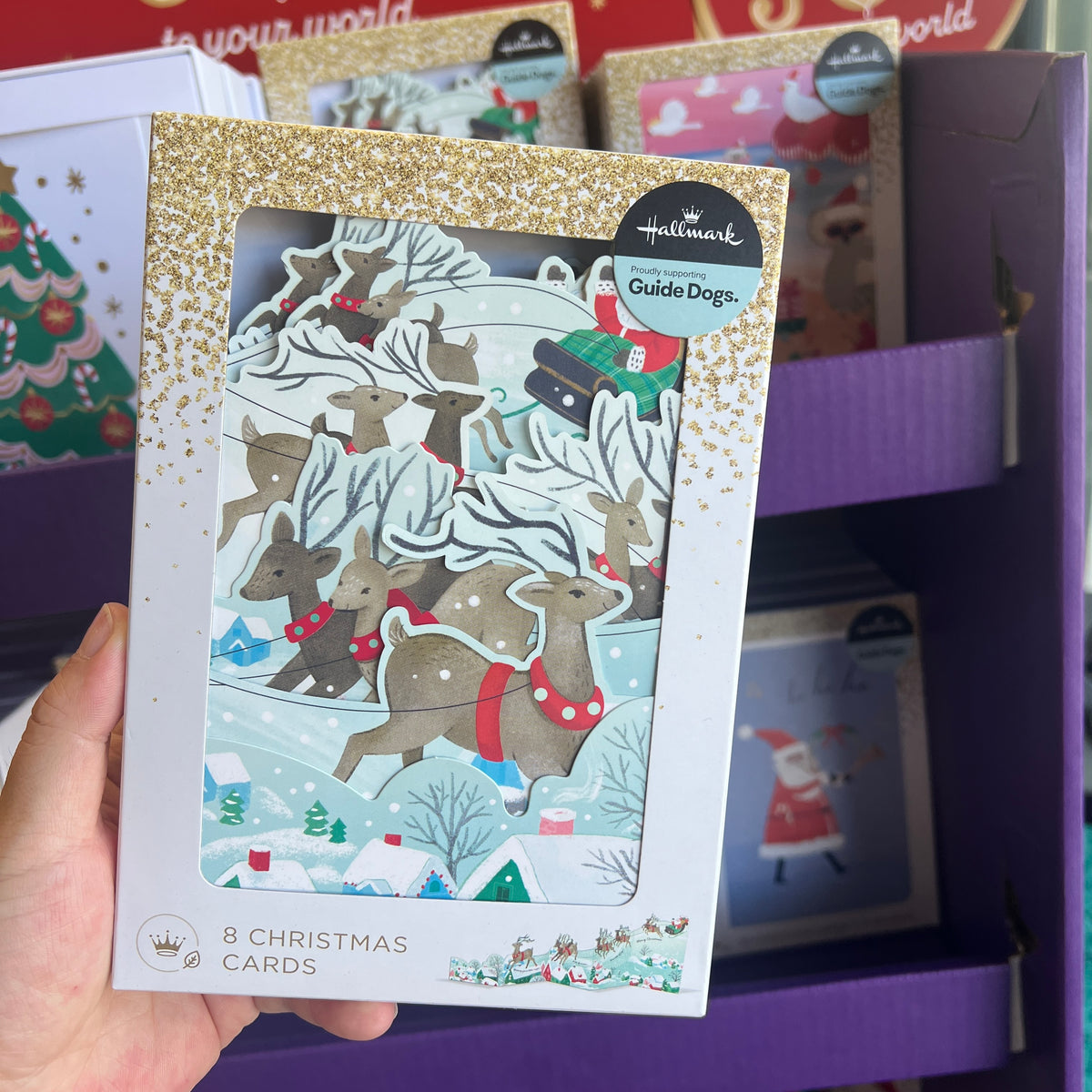 Hallmark Fold-Out Concertina Christmas Cards – 8 Pack