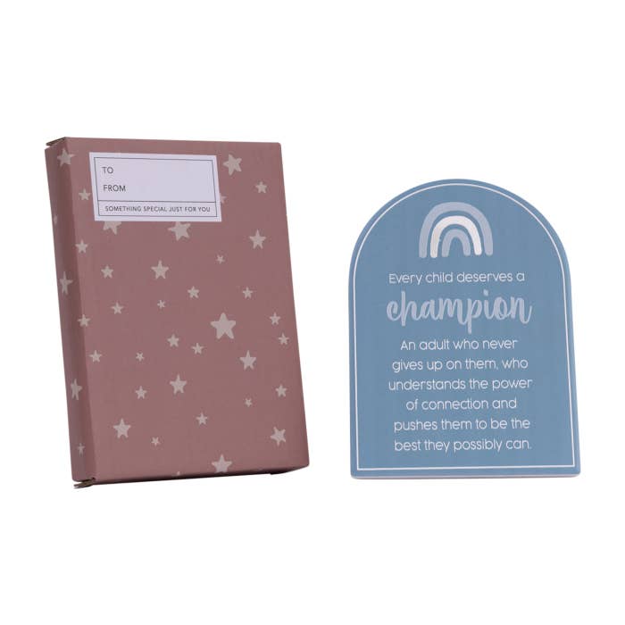 Teacher Champion Verse by Splosh with its gift box