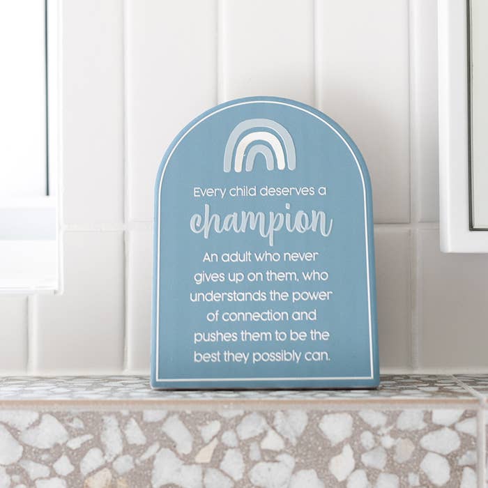 Teacher Champion Verse by Splosh displayed in natural light