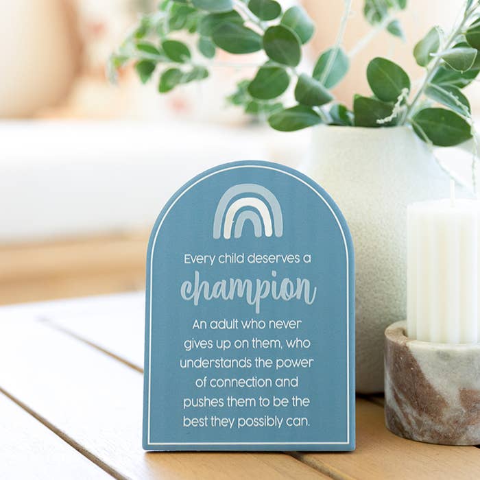 Teacher Champion Verse by Splosh displayed on a shelf