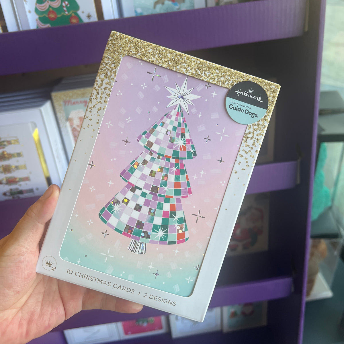 Hallmark Boxed Christmas Cards – 10 Pack in 2 Designs