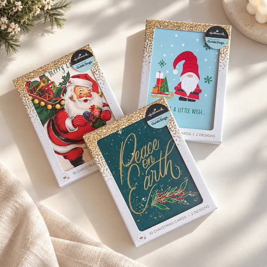 Hallmark Small Boxed Christmas Cards – 10 Pack in 2 Designs