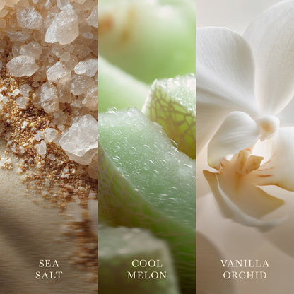 WoodWick - Vanilla & Sea Salt