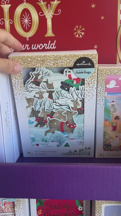 Hallmark Fold-Out Concertina Christmas Cards – 8 Pack